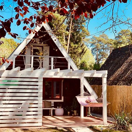Nadi'S Holiday Home - Heart Of Woods, Szentendre Island 셰지트모노스토 외부 사진