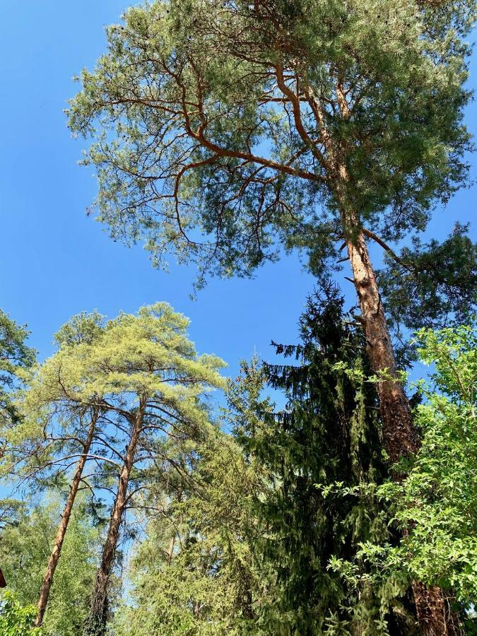 Nadi'S Holiday Home - Heart Of Woods, Szentendre Island 셰지트모노스토 외부 사진