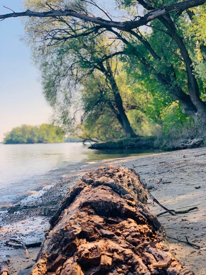 Nadi'S Holiday Home - Heart Of Woods, Szentendre Island 셰지트모노스토 외부 사진