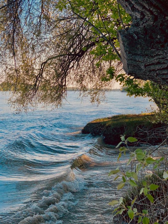 Nadi'S Holiday Home - Heart Of Woods, Szentendre Island 셰지트모노스토 외부 사진